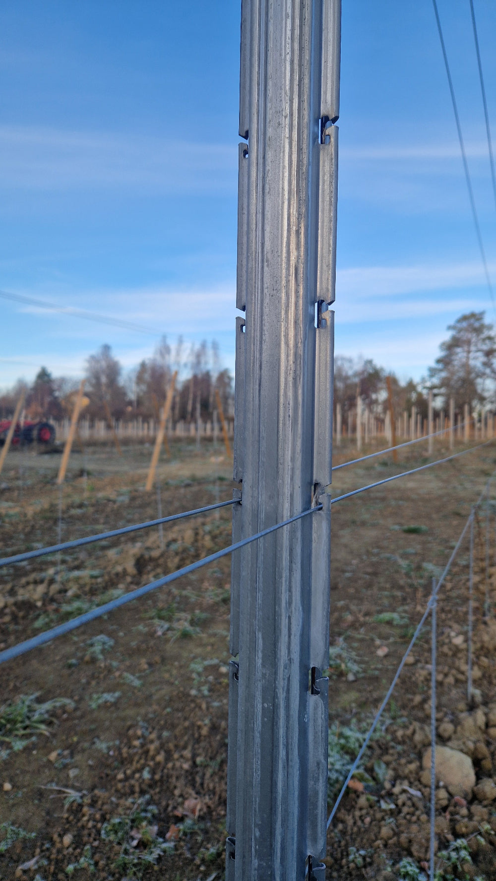 Stålstolpe för uppbindningssystem i vingård
Vajer för uppbindningssystem i vingård